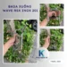 Baga Xuồng Wave RSX